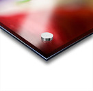 The Eye of The Needle Acrylic print