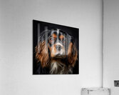 King Charles Spaniel AI Acrylic Print