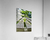 Lonely Leaf Acrylic Print