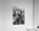 Guardian of the Beach Acrylic Print