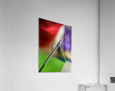 The Eye of The Needle Acrylic Print