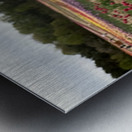 Tulip Farm Metal print