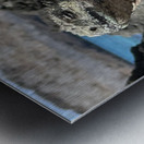 Guardian of the Beach Metal print