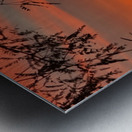 Red Sky at Night Metal print