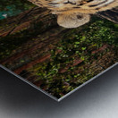 Tiger Metal print