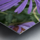 Busy Bee Metal print