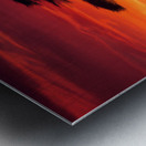 Acacia Tree on Serengeti AI Impression metal