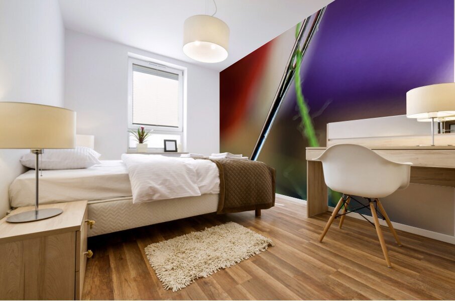 The Eye of The Needle Mural print