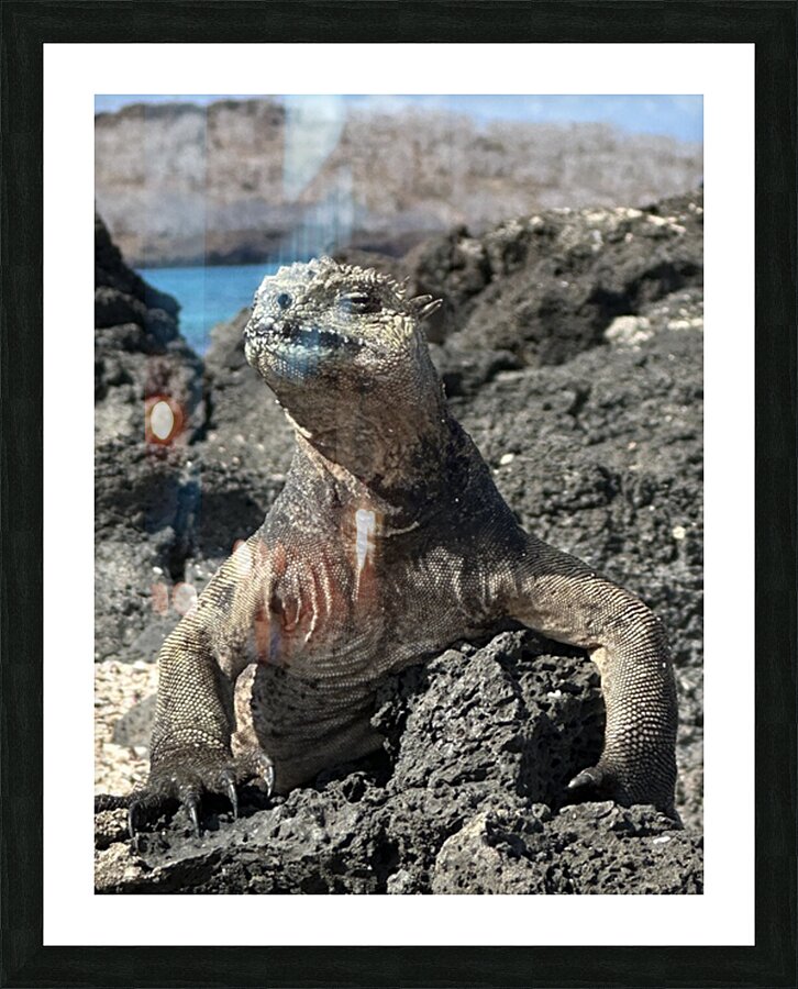 Guardian of the Beach Picture Frame print
