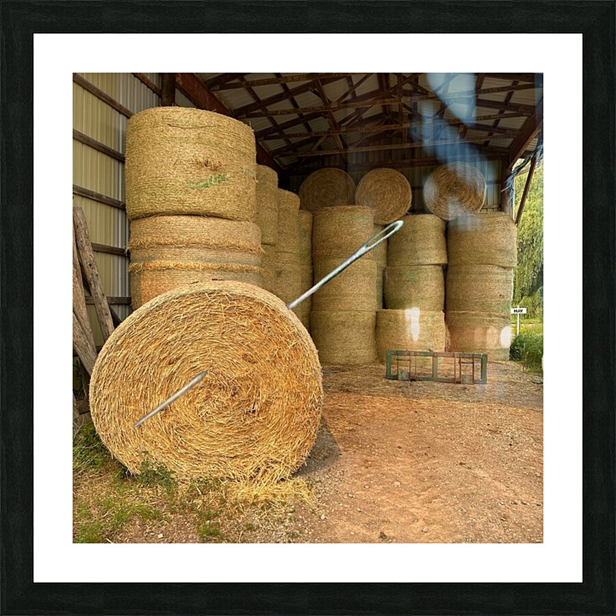 Needle in Haystack Picture Frame print