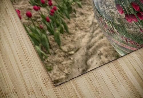 Tulip Farm Bob Hudson puzzle