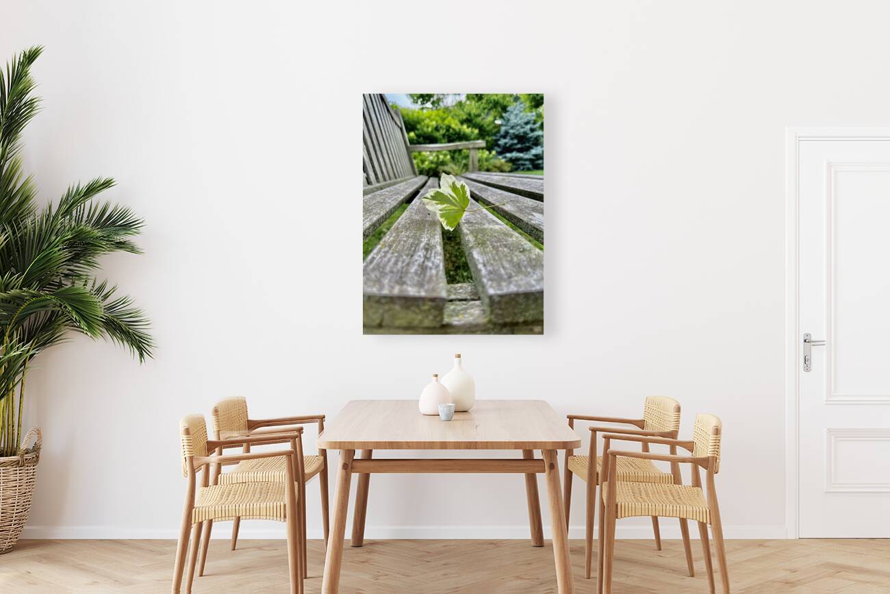 Lonely Leaf Reproduction