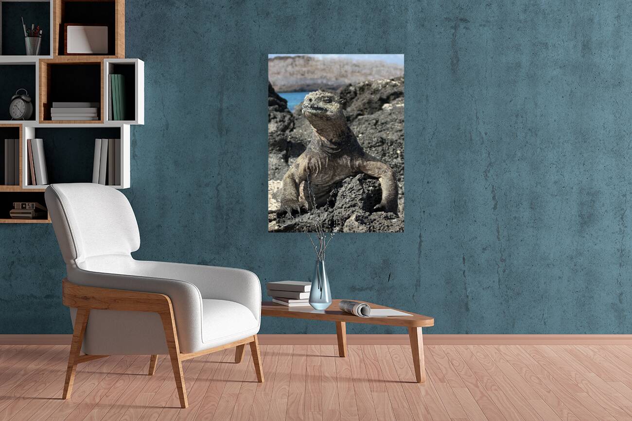 Guardian of the Beach Reproduction