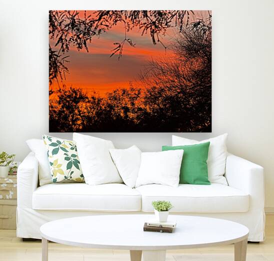 Red Sky at Night Reproduction