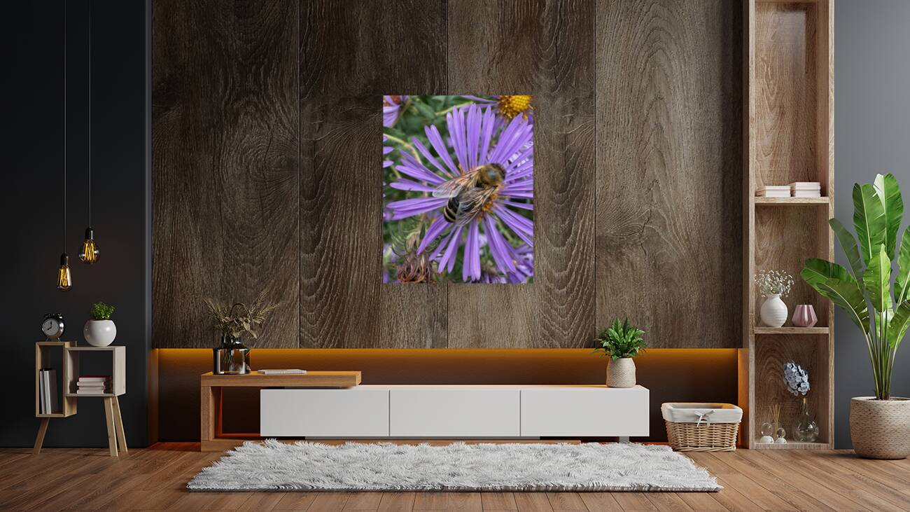 Busy Bee Reproduction