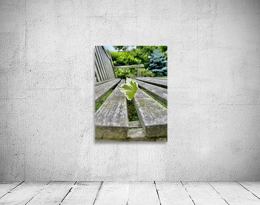 Lonely Leaf Wall Preview