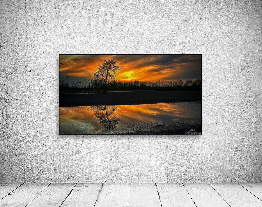 Sunset Reflection Wall Preview