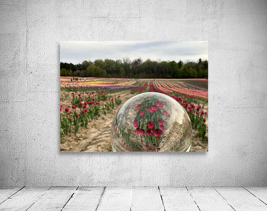 Tulip Farm Wall Preview