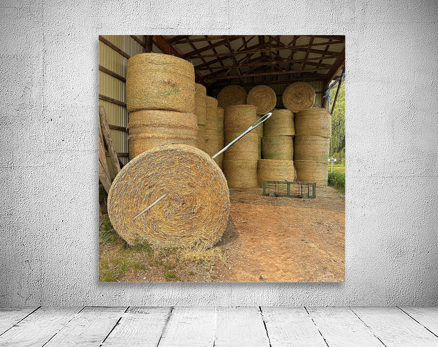 Needle in Haystack Wall Preview