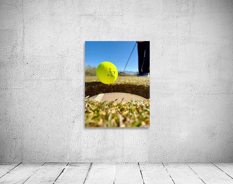 Sink the Putt Wall Preview