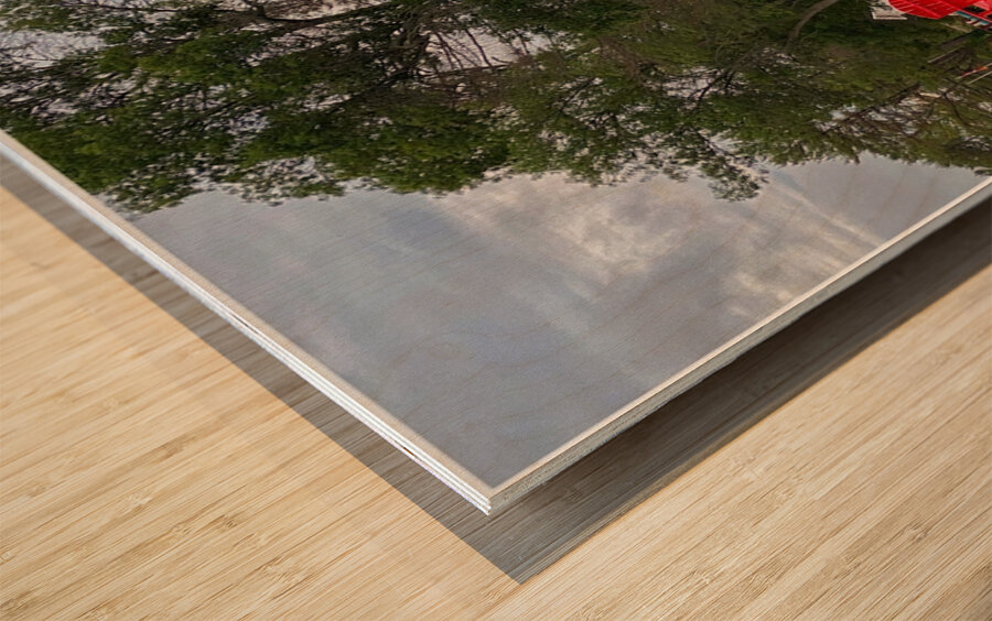 On the Dock Wood print