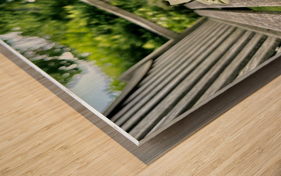 Lonely Leaf Wood print