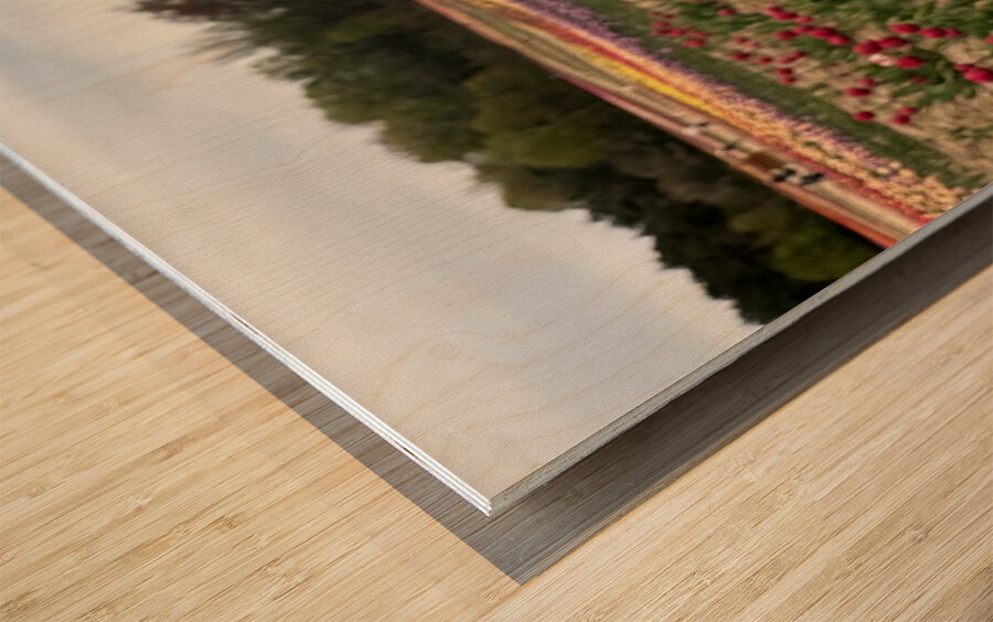 Tulip Farm Wood print