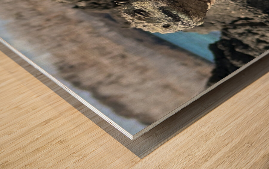 Guardian of the Beach Wood print