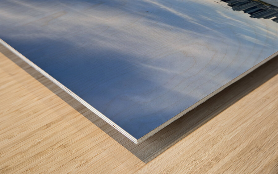 Toronto Skyline Wood print