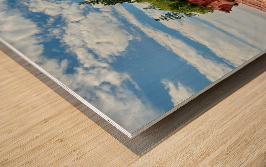 Burntcoat Head Park Wood print