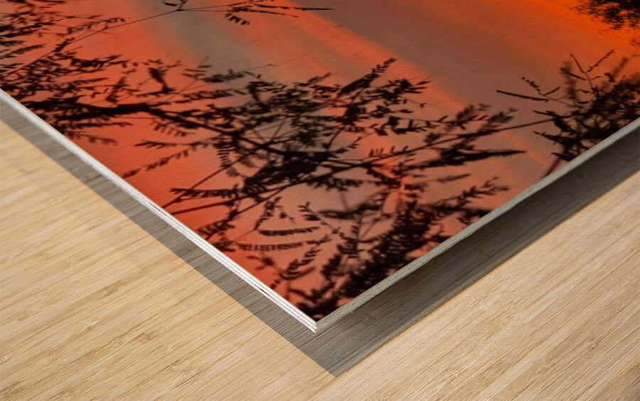 Red Sky at Night Wood print