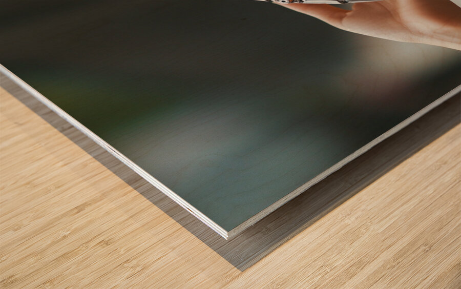 Helping Hands AI Wood print