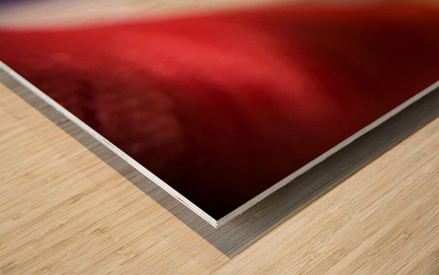 The Eye of The Needle Wood print