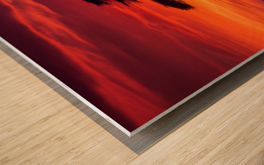 Acacia Tree on Serengeti AI Impression sur bois