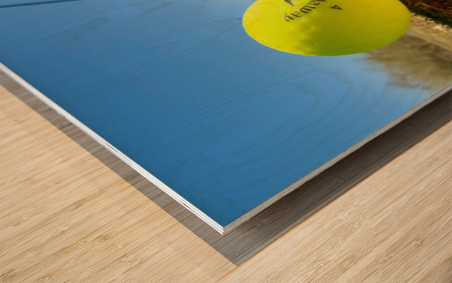 Sink the Putt Wood print