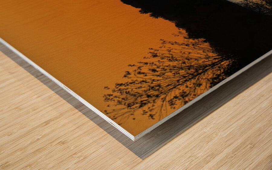 Sunset Fishing Wood print