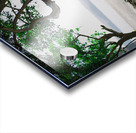 Looking Glass Acrylic print