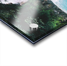 Volcan Tonorio Acrylic print