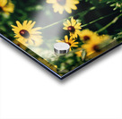 Farm Hand Acrylic print