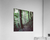 White Blazes Acrylic Print