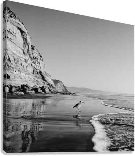 Vagabond - B&W Canvas Print