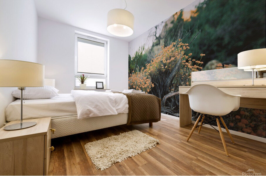 Natural Arrangement  Mural print