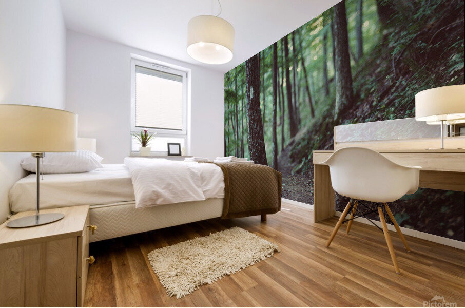 White Blazes Mural print