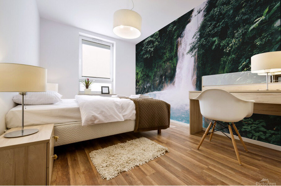 Volcan Tonorio Mural print