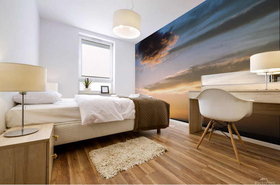 Playa Flamingo Mural print
