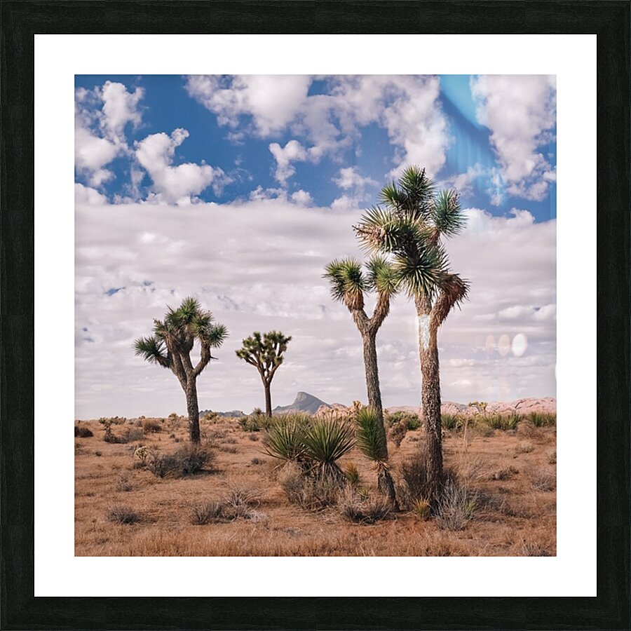 Joshua Picture Frame print