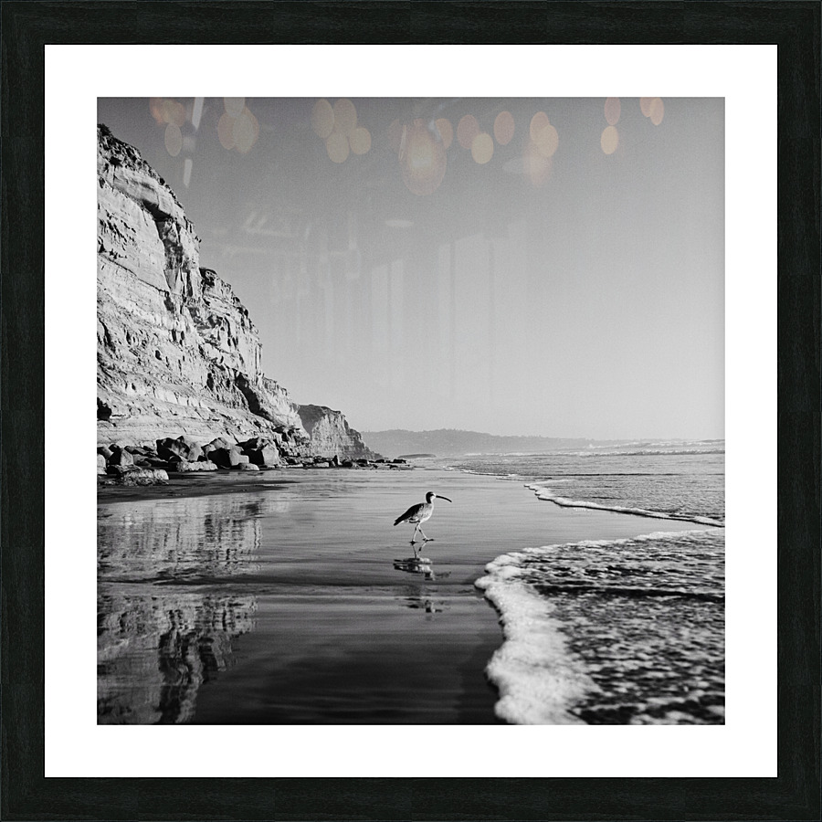 Vagabond  Picture Frame print