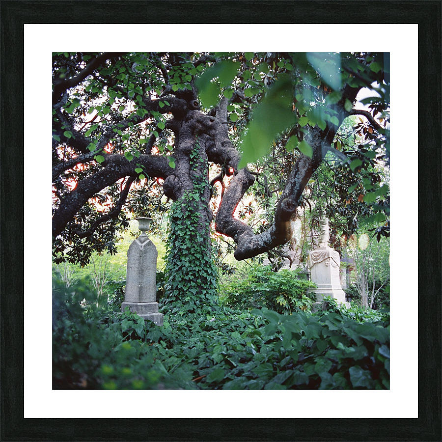 Necropolis Picture Frame print
