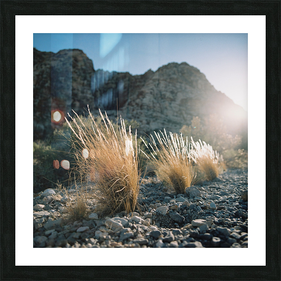 When In Vegas Picture Frame print