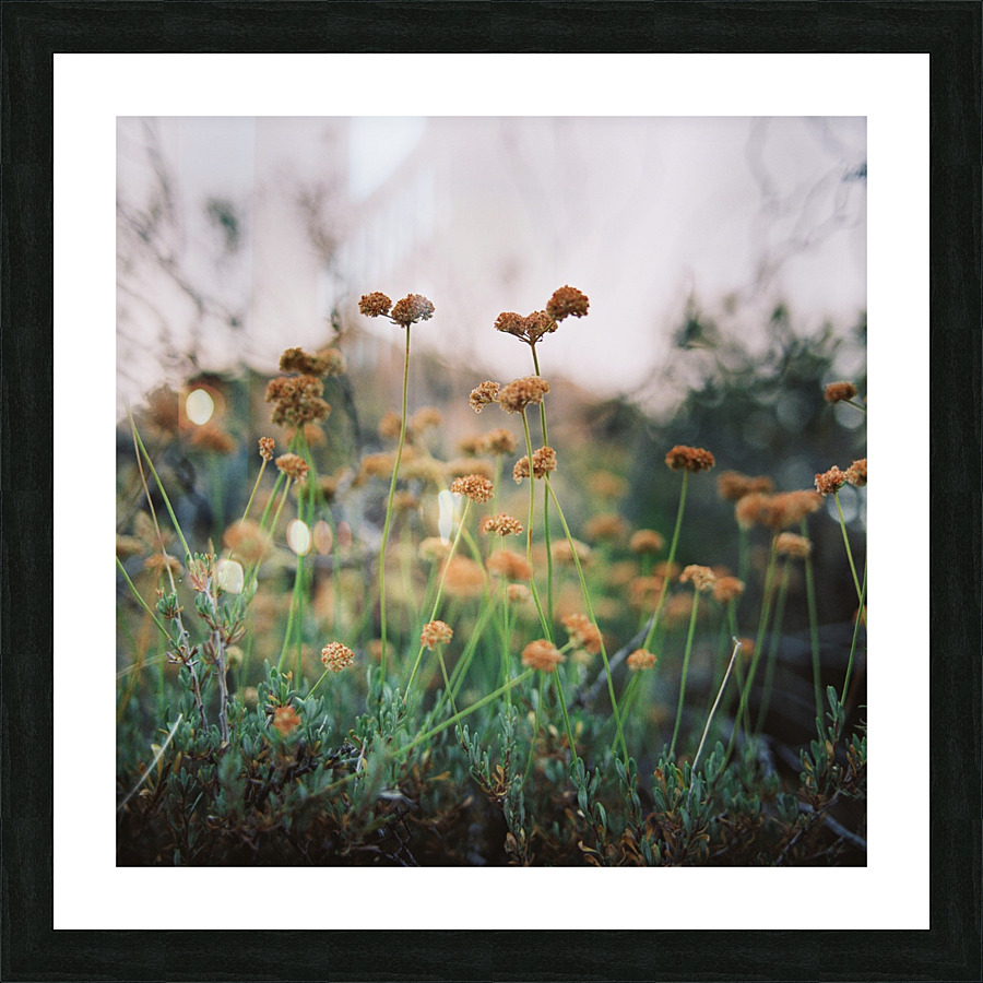 Inquiring From The Hip Picture Frame print